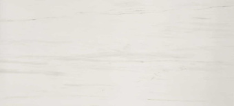 ATLAS CONCORDE MARVEL STONEBIANCO DOLOMITE RT* 50Х110