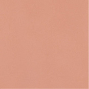 PARADYZ NEVE CREATIVE BLUSH 9,8X9,8X0,65