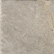 SERENISSIMA MAGISTRA FIOR DI BOSCO LUX RET 100X100