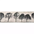 Фото плитки OPOCZNO WILLOW SKY INSERTO TREE 29X89 из коллекции OPOCZNO WILLOW SKY 