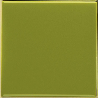 SENIO I LACCATI VERDE MUSCHIO 9,85Х9,85