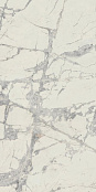 REX PREXIOUS MOUNTAIN TREASURE MATTE 755875 30X60