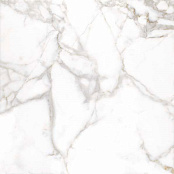 ARCANA MARBLE R.024 BORGHINI-R BLANCO 59.3X59.3