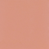 PARADYZ NEVE CREATIVE BLUSH 19,8X19,8X0,75