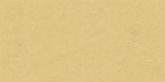 ABK WIDE & STYLE MINI GINGER RET 60X120