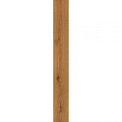 ATLAS CONCORDE EXENCE AMBER SAW CUT AOUM 18,5X150X0,95