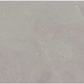 ECOCERAMIC SLABS GRIS 90Х90 - LP0804