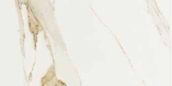 SAIME CERAMICHE CAVE FORTE LUC RET 60X120