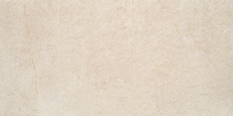 VITACER PORTUM MINK NATURAL 60X120X1
