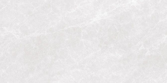 CRISTACER CAPITOLINA ASH 60Х120