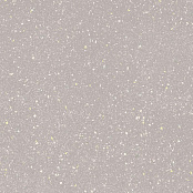 PARADYZ MACROSIDE (MOONDUST) SILVER GRES SZKL. REKT. MAT. 59.8x59.8