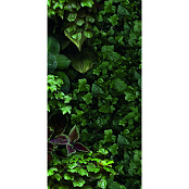 41ZERO42 PAPER41 PRO JANE D 4100154 50X100X0,35