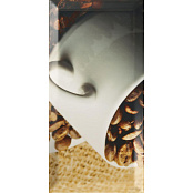 PARADYZ TAMOE INSERTO D 9.8X19.8