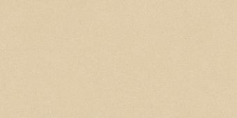 LASSELSBERGER RAKO COMPILA SAND RECT OCHRE 59,8X119,8