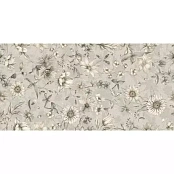 ARGENTA KENZO SPRING IVORY 60X120