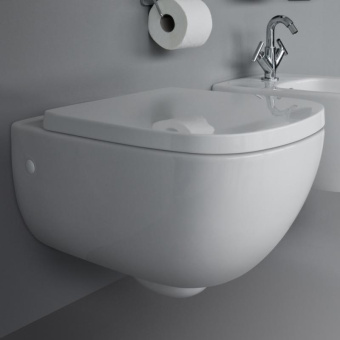 ПОДВЕСНОЙ БЕЗОБОДКОВЫЙ УНИТАЗ LAUFEN PALOMBA COLLECTION, БЕЛЫЙ (H8208020000001)