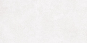 LASSELSBERGER RAKO BETONICO WHITEGREY RECT. 59,8X119,8