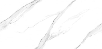 CER-ROL ENDLESS NESIA CARRARA POLISHED ENDLESS 60X120