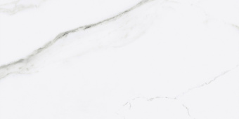 FANAL ICEBERG REC.NPLUS 60Х120