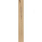 ATLAS CONCORDE EXENCE VANILLA SAW CUT AOUN 18,5X150X0,95