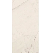 LA FAENZA CERAMICA TREX6 260W LP 120X260