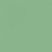 PARADYZ GAMMA ZIELONA SCIANA MAT. 19,8x19,8