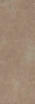 COVERLAM PANGEA TIERRA NAT 100x300x0,56