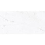 AZULEJOS BENADRESA STATUS PULIDO RECT. 60X120 P6012P