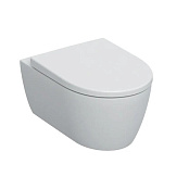 УНИТАЗ ПОДВЕСНОЙ БЕЗОБОДКОВЫЙ, RIMFREE, С КРЫШКОЙ GEBERIT ICON, АЛЬПИЙСКИЙ БЕЛЫЙ/МАТОВЫЙ (501.663.JT.1)