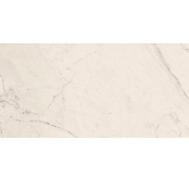 LA FAENZA TREX3 TREX 12W RM 60X120