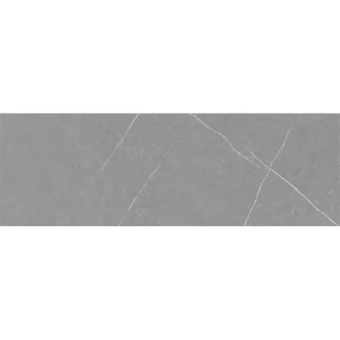 ARGENTA CAPRI GREY 40X120