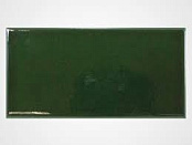 EQUIPE EVOLUTION VICTORIAN GREEN 22467 7,5X15