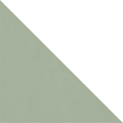 CEDIT POLICROMA LICHENE TRIANGOLO MAT 6MM RETT 764069 120x120