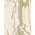 Фото плитки FIANDRE MARBLE LAB CALACATTA ELITE LUC AL204X860 60X60X0,8 из коллекции FIANDRE MARBLE LAB 