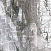 ROBERTO CAVALLI 0500909 LUSH CAL.REN.ANIM.LP RT 19,6X19,6