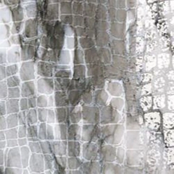 ROBERTO CAVALLI 0500909 LUSH CAL.REN.ANIM.LP RT 19,6X19,6