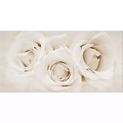 OPOCZNO CAMELIA INSERTO FLOWER 29,7X60
