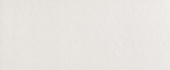 FAP MILANO MOOD GHIACCIO MATT RT 50Х120 FQAW