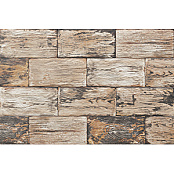 MAINZU LEGNO ARANCIO 10x20