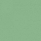 PARADYZ GAMMA ZIELONA B 19.8X19.8