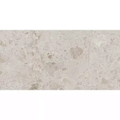 ARGENTA PETRA TAUPE 60Х120