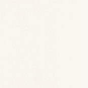 PARADYZ INWESTA GAMMA BIANCO SCIANA MAT19,8X19,8