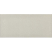 PAMESA CERAMICA AKTUELL DAMM PERLA 20x45.2