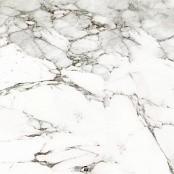 PORCELANOSA CALACATTA SILVER G-347 (4P) P18568951.100137735 59,6x59,6
