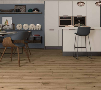 ECOCERAMIC DYNAMIC HAYA 20Х120