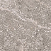 PORCELANOSA ELEGANT GREY PUL.L (A) 120X120