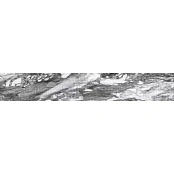 ROBERTO CAVALLI 0500907 LUSH C.REN.ANIM.LAPP. RT 19,6X119