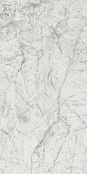 CENTURY CONTACT STONE WHITE MOL RETT 129197 600X1200x9