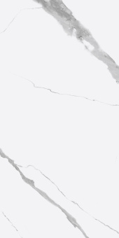 GOLDEN TILE CALACATTA VERA WHITE RECT 60X120X1