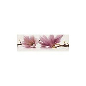 PARADYZ ABRILA KWIAT A 20x60